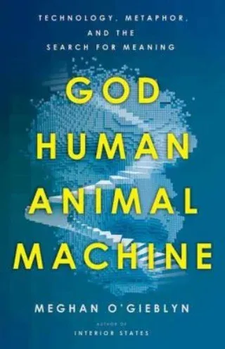 God Human Animal Machine cover